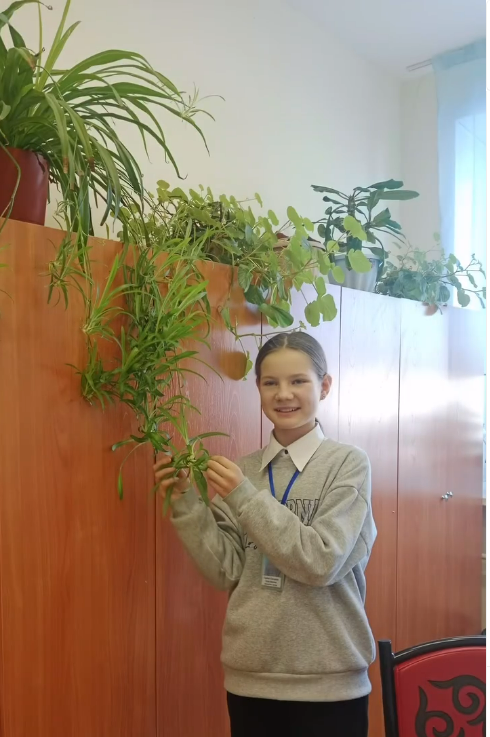 акция «ДОСБОЛLIKE”